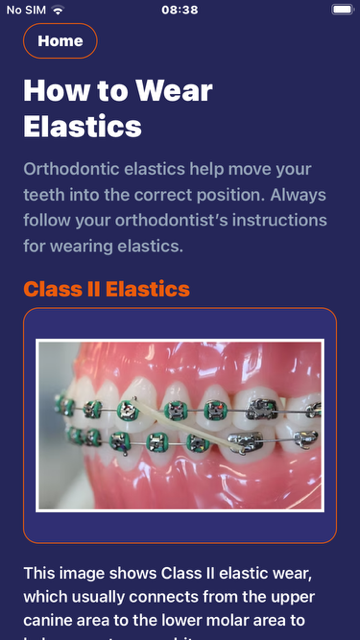 BraceHero elastics guidance screen